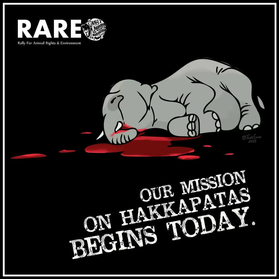 RARE_SriLanka's tweet photo. Today we launch "RARE Sri Lanka's Mission on Hakkapatas" 
Hakkapatas means Jaw Bomb, explosives hidden in food that explode when chewed. Hakkapatas always guarantee a slow and painful death from starvation and thirst.
To learn and support our work go to https://t.co/zD0LaXgNES https://t.co/DbxYhCACqV