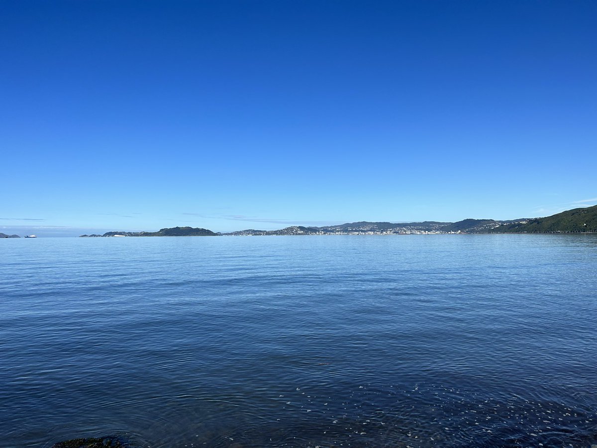 Happy Easter everyone 🐣