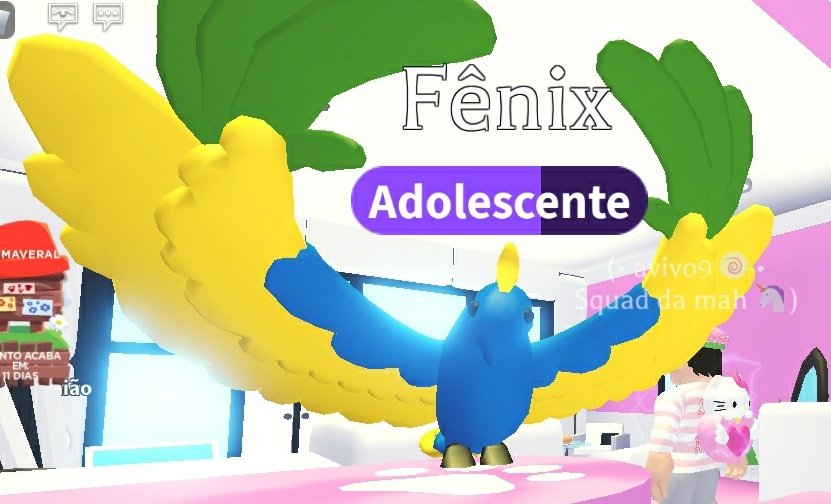 Avivo9_Gamer's tweet photo. Phoenix from Brazil 🤩 https://t.co/lQc2S8gBk9