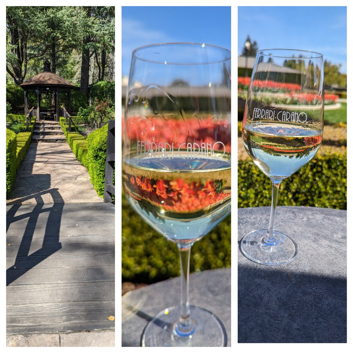Wine <a href="/FerrariCarano/">FerrariCarano Winery</a> on a 🌞 lit afternoon during the <a href="/lakesonoma50/">lakesonoma50</a> #imnotrunning