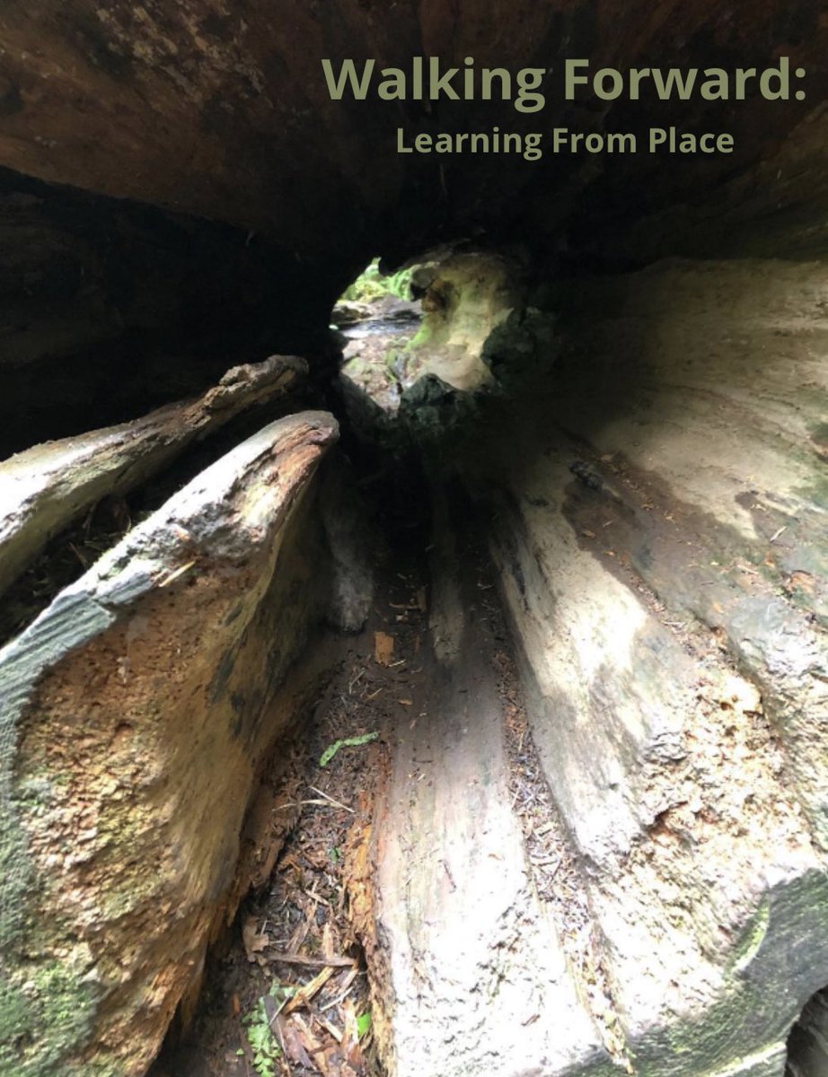 takemeoutside's tweet image. Discover how Place and imagination can aid in reconciliation, and how teachers use First Peoples’ Principles of Learning to deepen student connections to Place.
Explore the resource here: outdoorlearningstore.com/wp-content/upl…
#Reconciliation #PlaceBasedLearning #OutdoorEducation