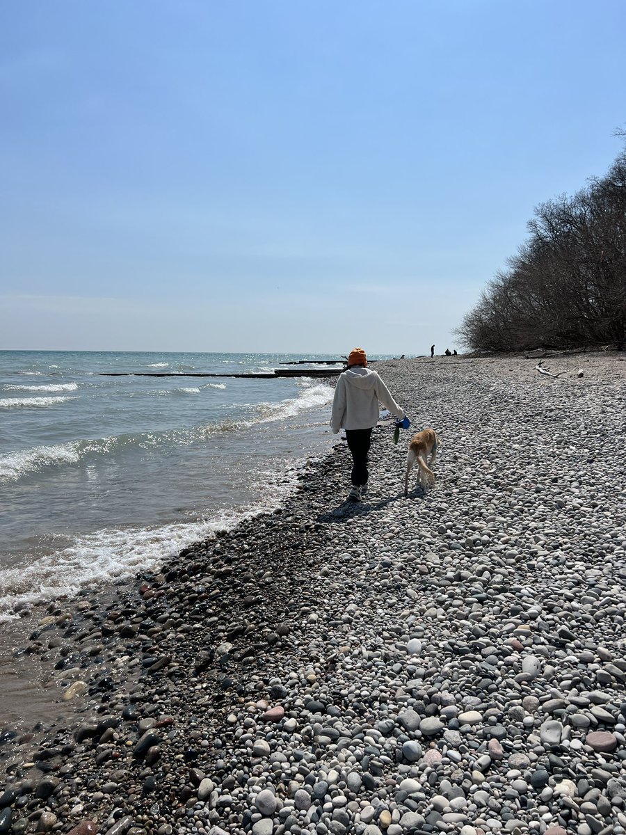 medieval whimsy tweet media