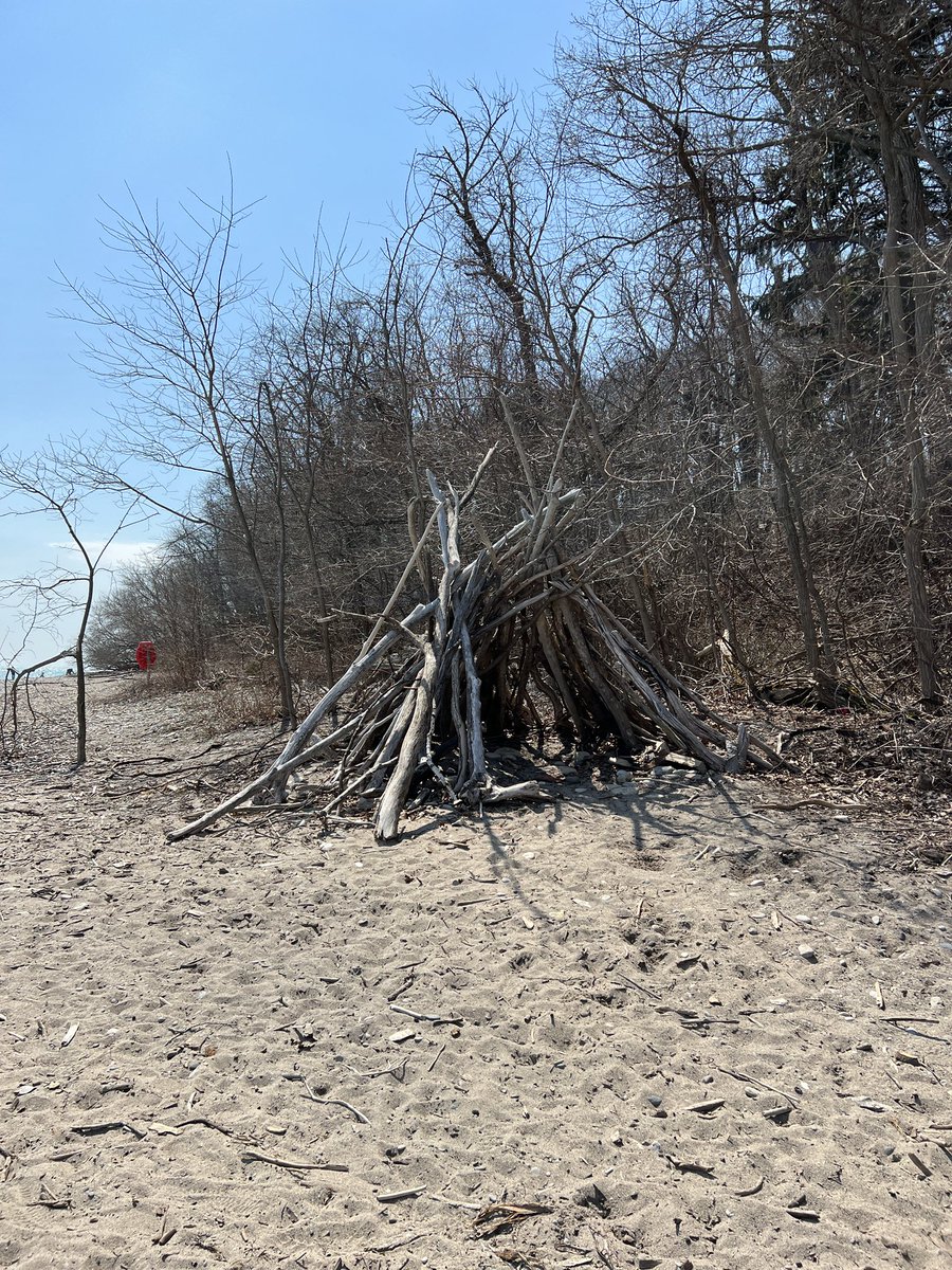 medieval whimsy tweet media