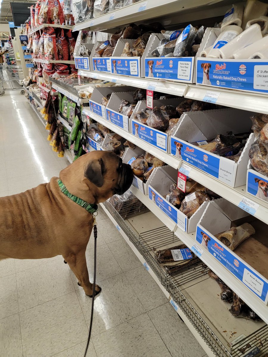 AlsupSmiley's tweet photo. #farmandfleet
Needed some beef bones for the weekend movie snacks! π©· https://t.co/RusEDJnhzy