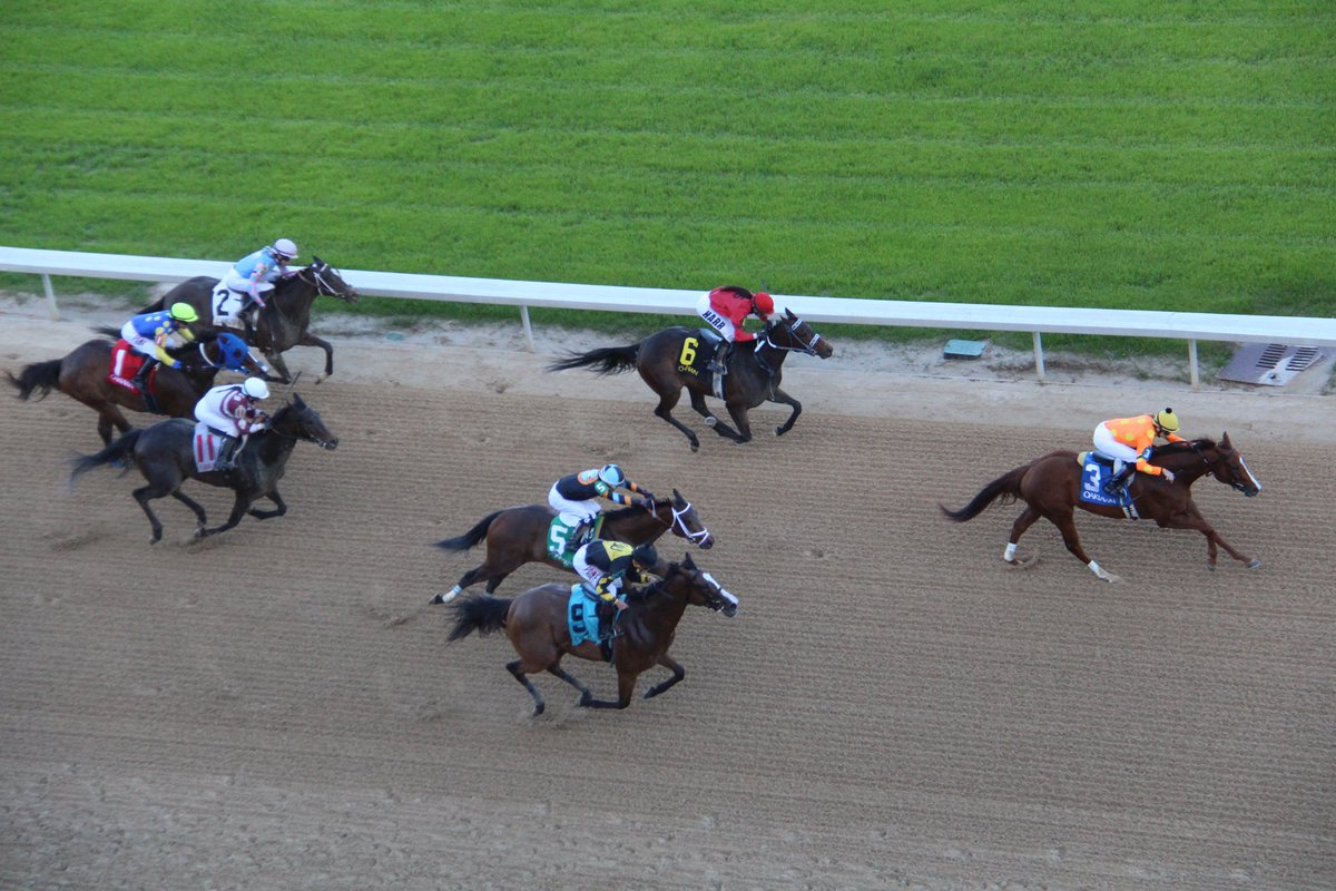 She's Storming takes the Rainbow Miss Stakes <a href="/Oaklawn/">oaklawn</a> #Oaklawn #ARBred