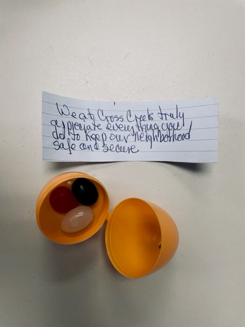 LakeStLouisPD's tweet photo. Carol from Cross Creek Subdivision dropped by with an Easter Basket for our officers. It was so sweet & thoughtful. Once a month, Carol drops donuts off for the day shift workers & has pizza delivered for the night shift workers.
#WeNeedYou
#LSLCommunity https://t.co/pkSey8hSMc