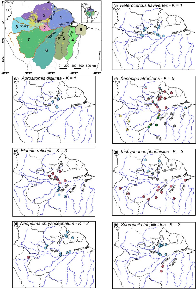 Biogeography.News tweet media