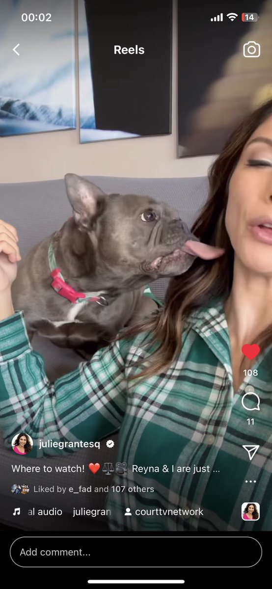 imadriienne's tweet photo. NAAAA!!!🥹🥹🥹
how cute is @JulieCourtTV and our little #Courty #Reyna! 🐶🥹 this is too much!!😆❤️🐶🙌🏼
@JulieCourtTV #instagram
👇🏼👇🏼👇🏼 https://t.co/7viXAjo1Ne