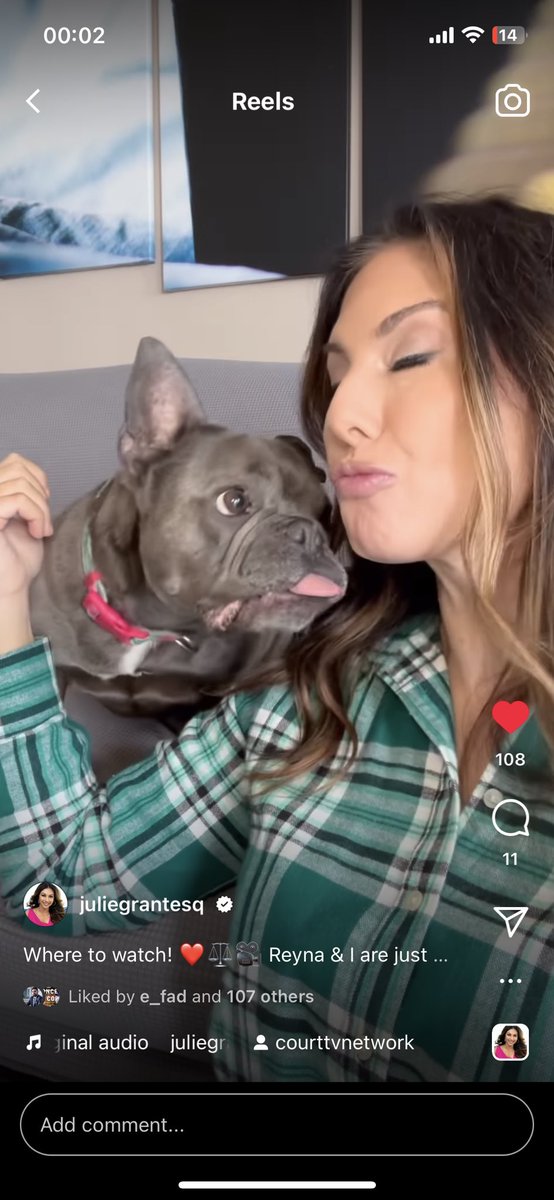 imadriienne's tweet photo. NAAAA!!!🥹🥹🥹
how cute is @JulieCourtTV and our little #Courty #Reyna! 🐶🥹 this is too much!!😆❤️🐶🙌🏼
@JulieCourtTV #instagram
👇🏼👇🏼👇🏼 https://t.co/7viXAjo1Ne