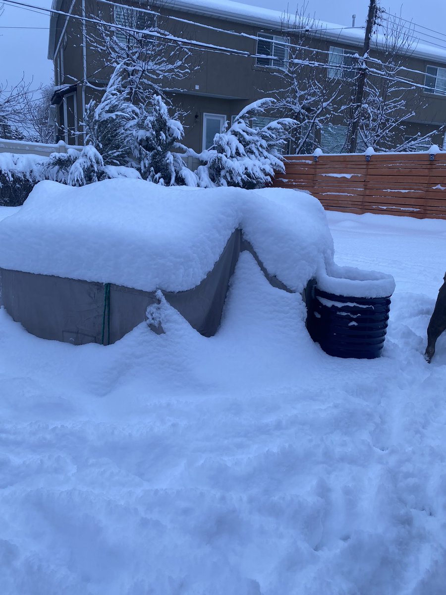 jeramyjohnson_'s tweet photo. What a difference three days and 60 degrees make ☀️☀️ #fuckoffwinter https://t.co/p4jTDIfGxj
