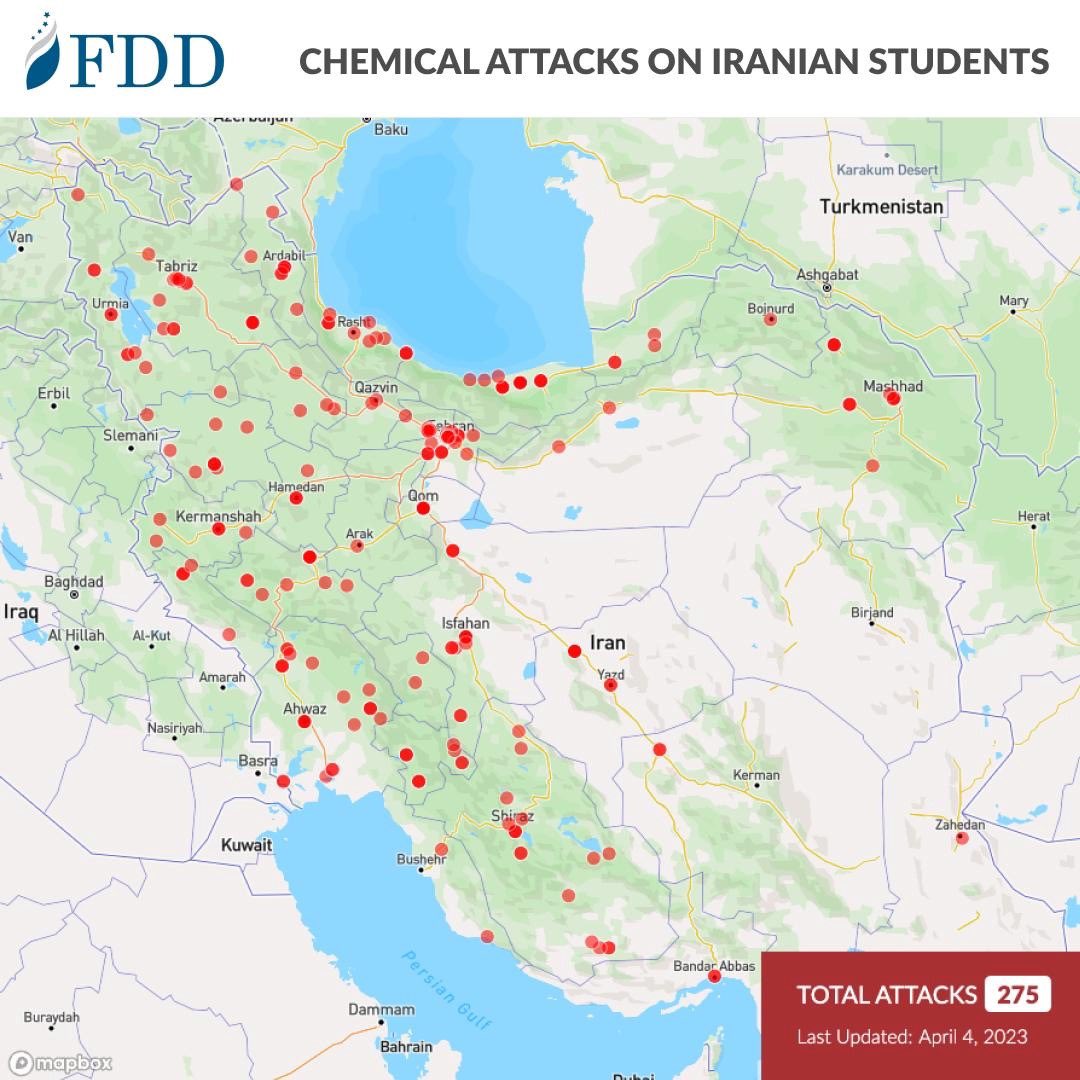 Rana Dadpour tweet media