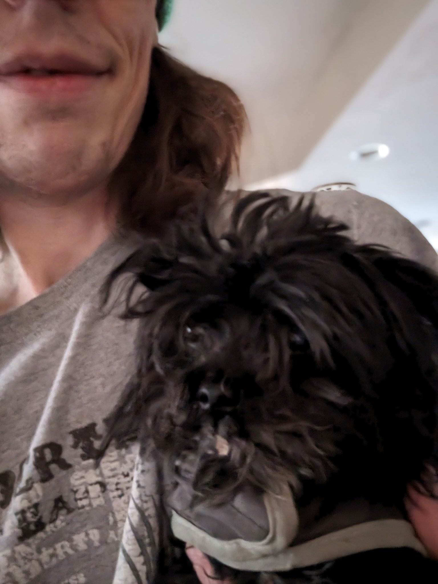 2 pic. For #Easter I tried to take some pics of our 3 fur babies but as you can tell from these pics one of them is a total Derp lol #dogsoftwitter https://t.co/bkDnZg0fuV