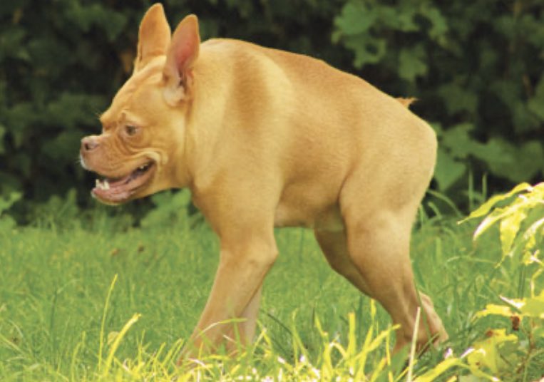 <a href="/JCFights/">JCFights🩸</a> Imma jus leave this right here🤧