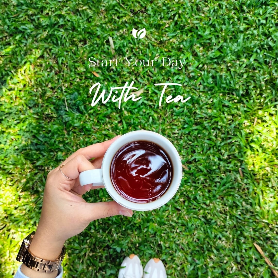 WAWonosari's tweet photo. Sudah tahu pasti yaa betapa kaya khasiatnya minuman teh satu ini 🤔

Yuk guys ke @wisataagrowonosari 😍 Kita nge-Teh bareng ditemani view hamparan kebun teh dan suasana khas perkebunanya 😉🍃 https://t.co/RYjWVcHbYm
