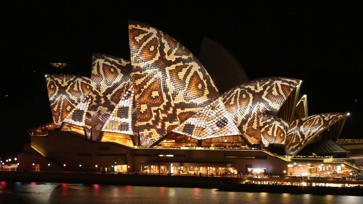 Photo Essay: Exploring the Sydney Vivid Festival bit.ly/40LRJU2