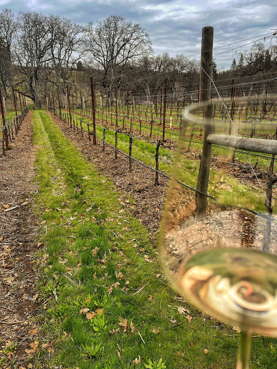 Spring sipping in the vineyard #rosé <a href="/synclinewine/">Syncline Winery</a>