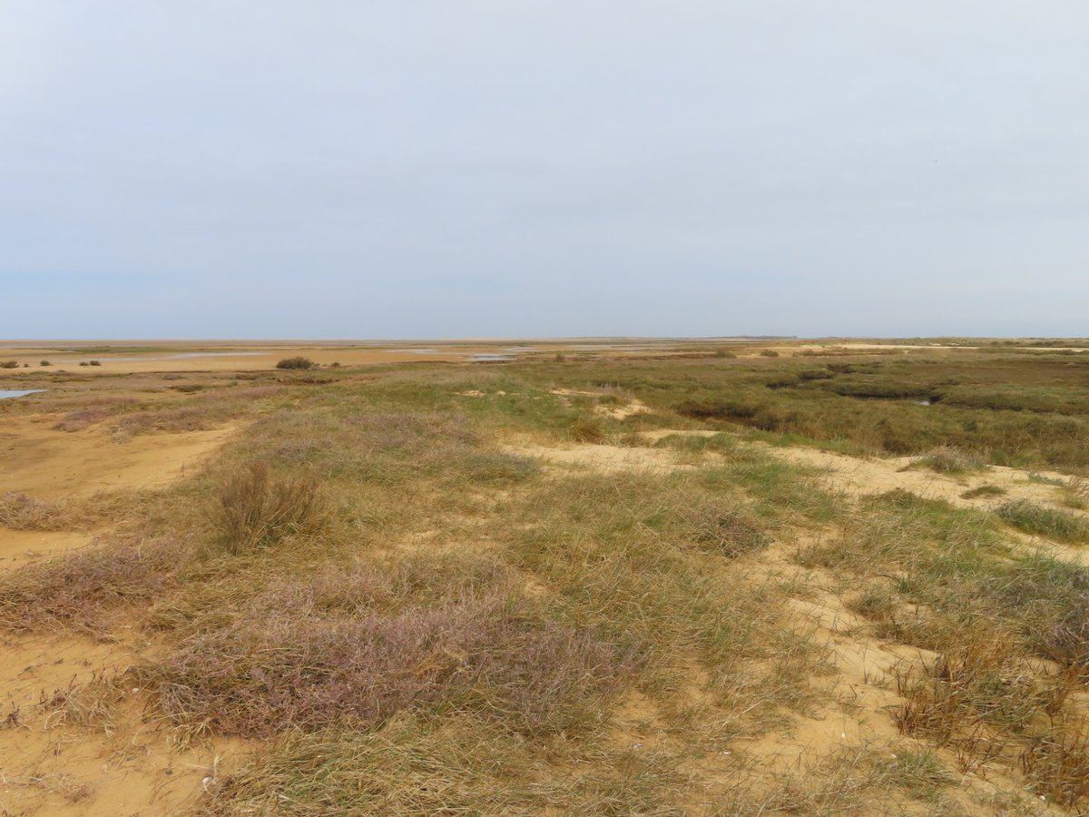 Kit D 💎😷🇺🇦 #BusyLivingWithMets tweet media