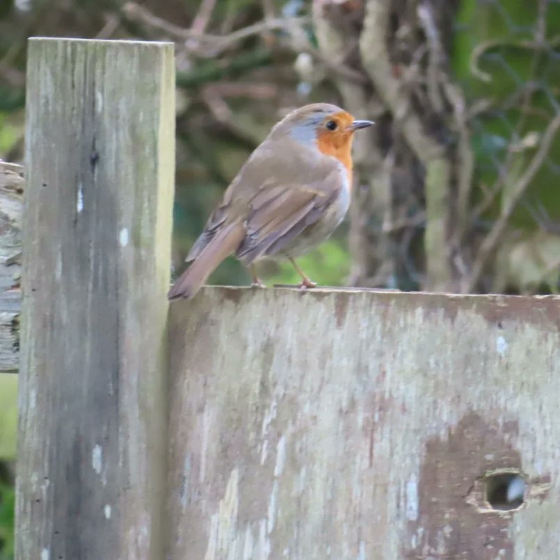 Kit D 💎😷🇺🇦 #BusyLivingWithMets tweet media