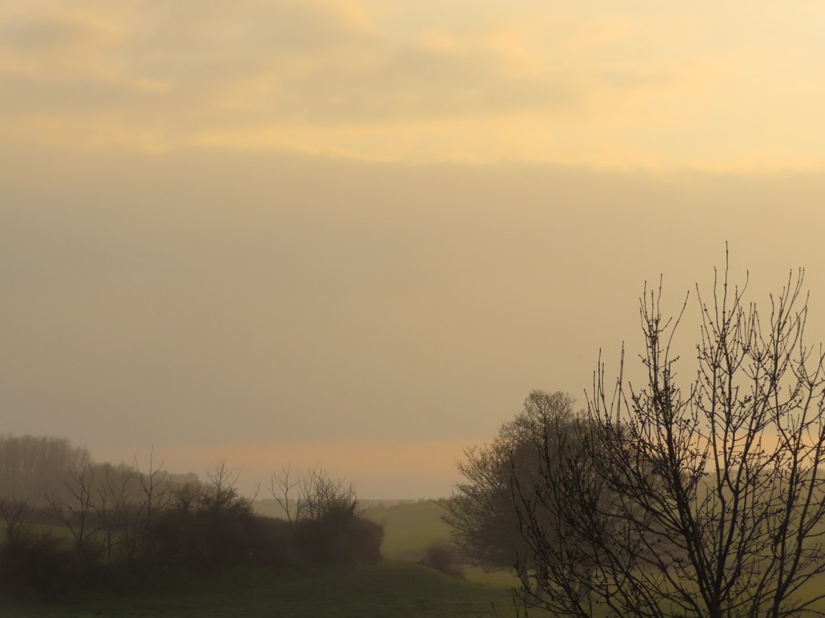 Kit D 💎😷🇺🇦 #BusyLivingWithMets tweet media