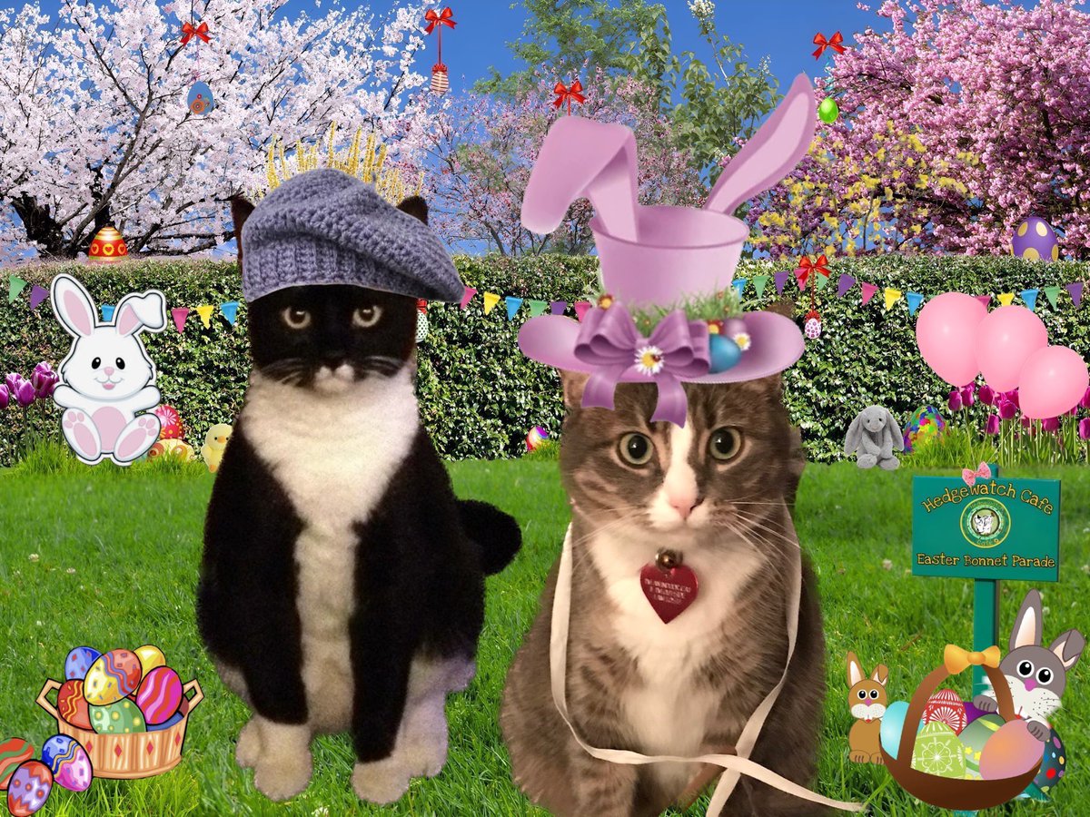 🌷Happy Easter🌷

#Easter #KittyTwitter