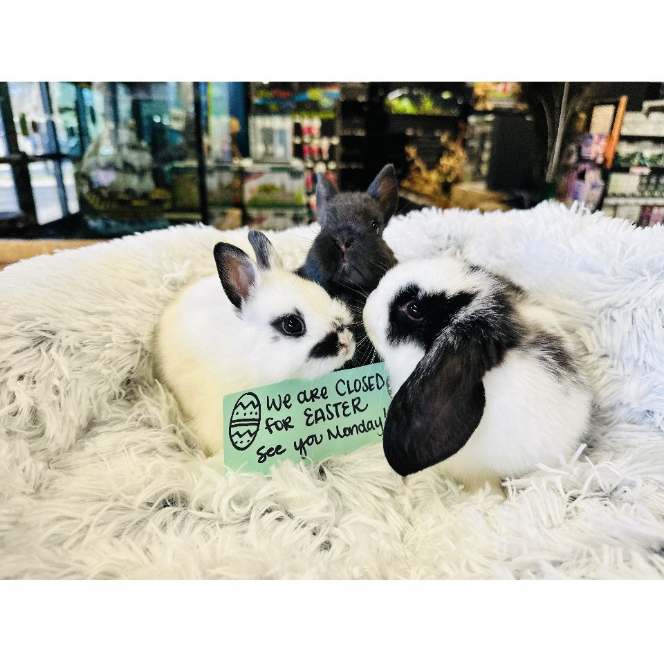 Closed for Easter
       🐣     ⛪️
See you Monday!!