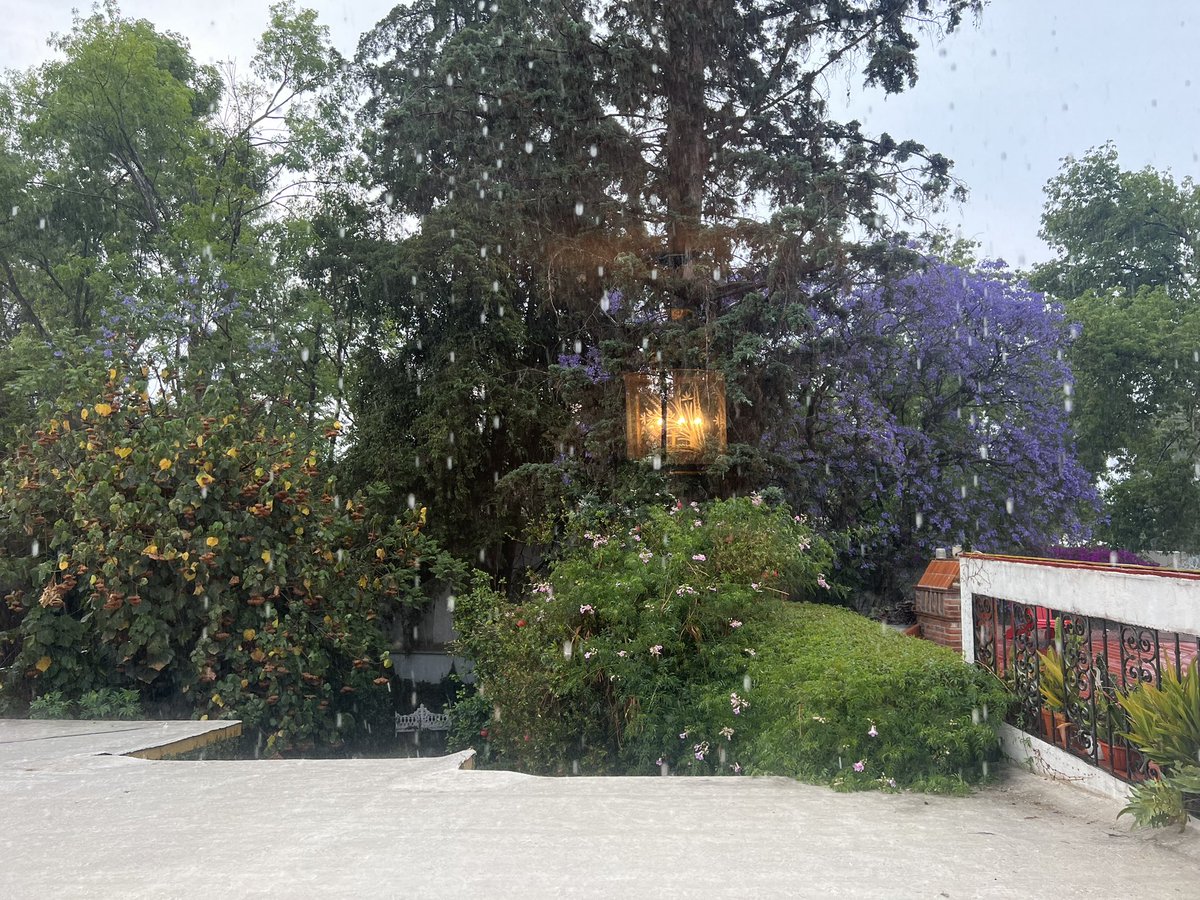 Horacitu's tweet photo. Estoy en casa de mi madre. Llueve y mi madre tiene esta vista desde su habitación. https://t.co/aWQDK2fKHd
