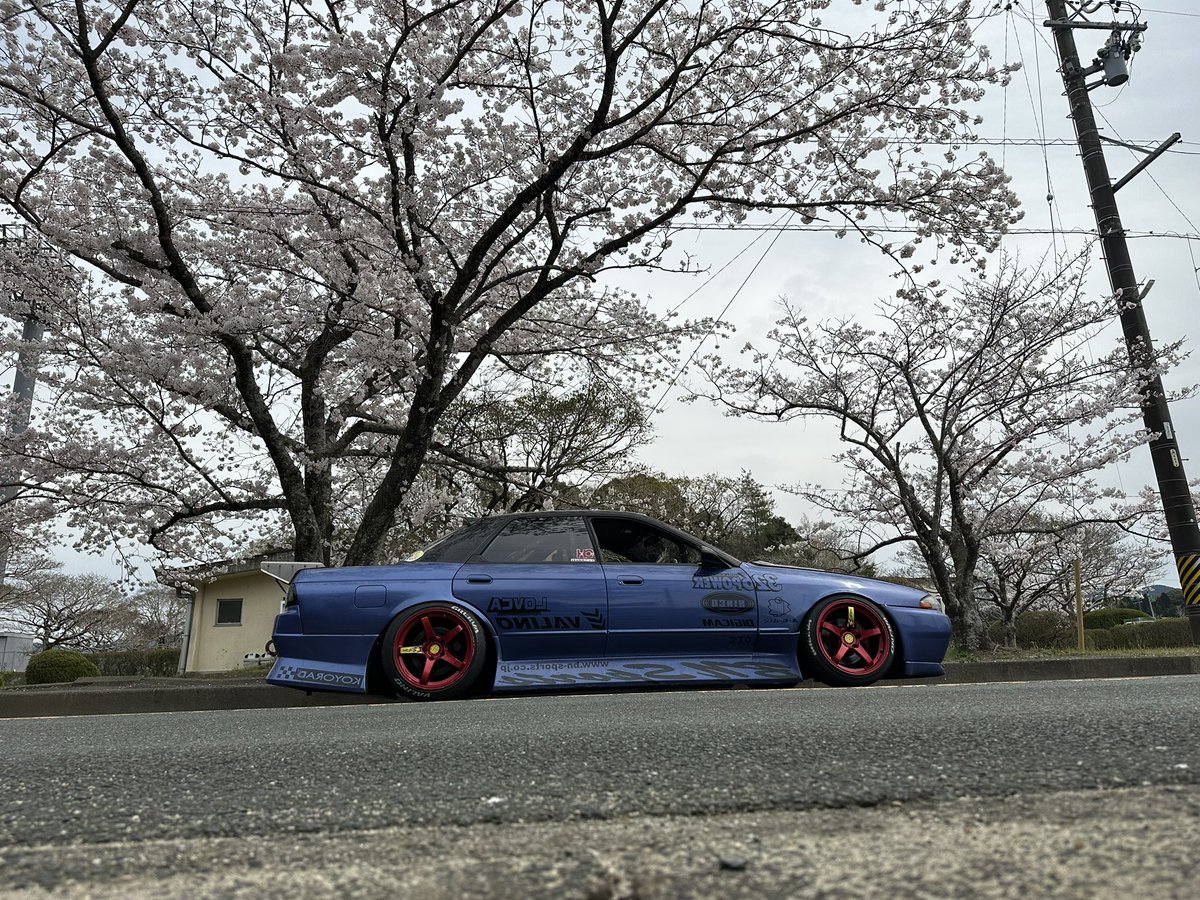 花より車🚙