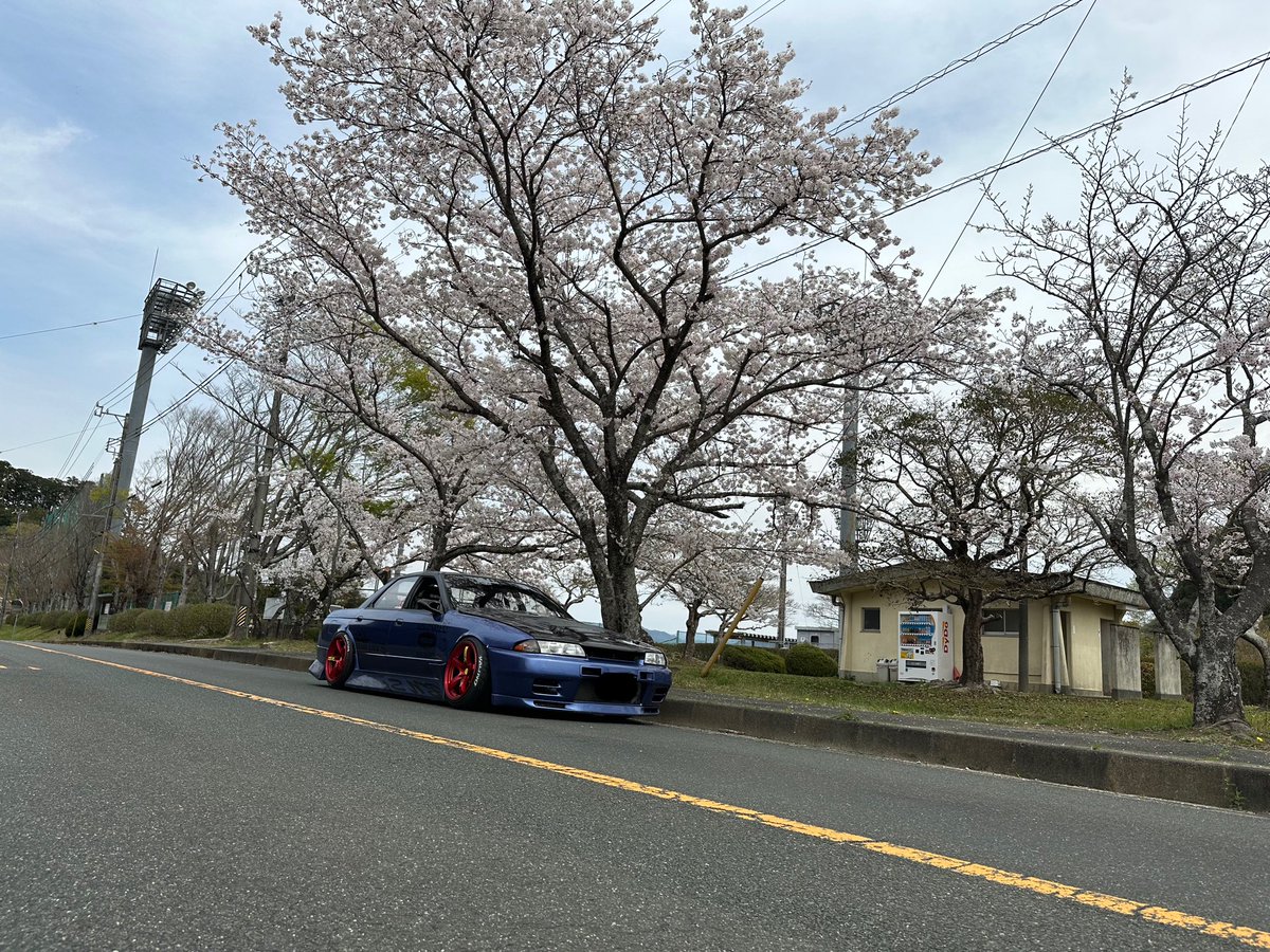 AboSatsukawa's tweet photo. 花より車🚙 https://t.co/fWoKxkui3L