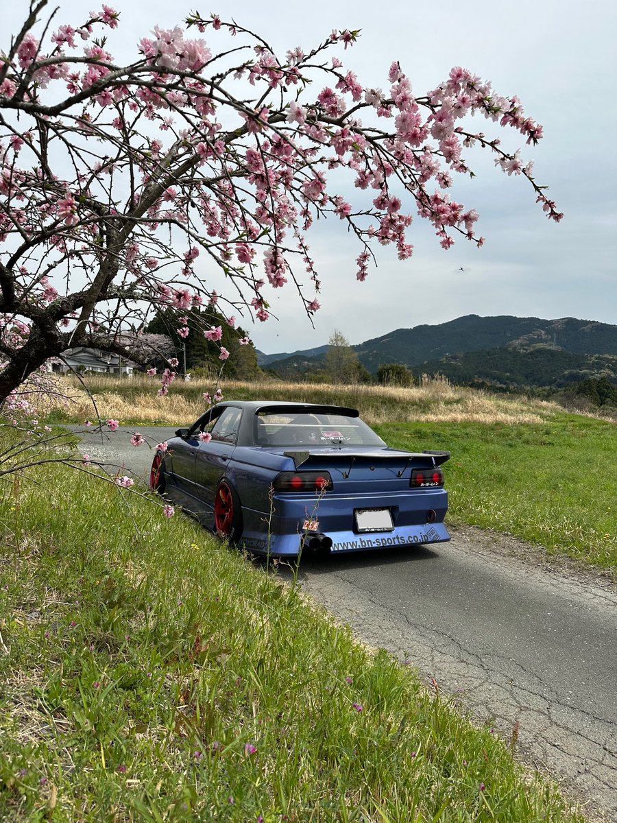 AboSatsukawa's tweet photo. 花より車🚙 https://t.co/fWoKxkui3L