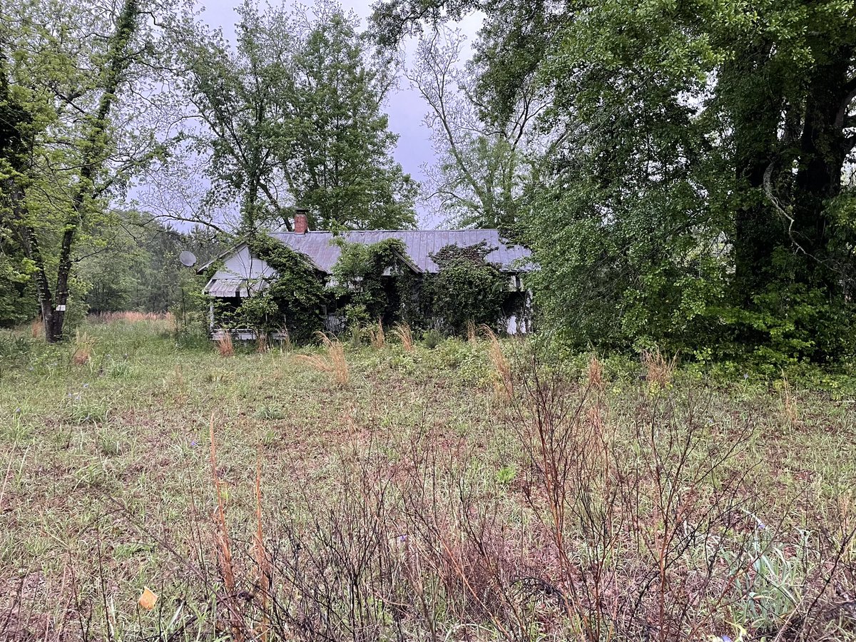 Please Don't Follow Me Home tweet media