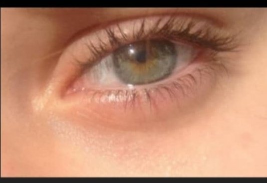 Hasiwoo_'s tweet image. 