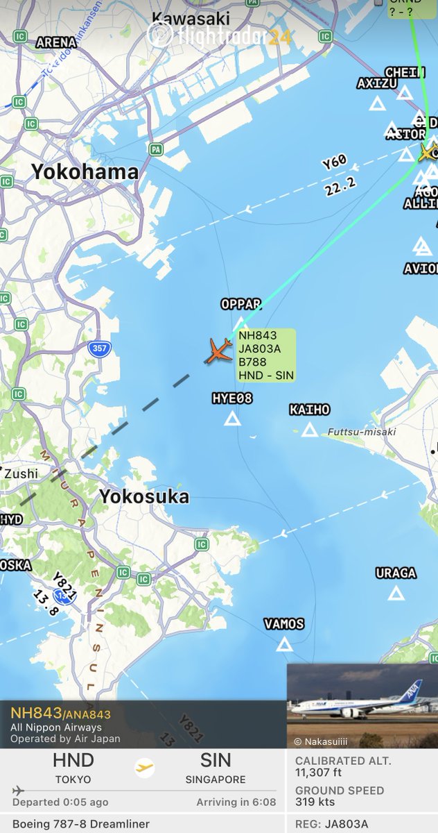 yoshu787's tweet photo. 昼便に続いて深夜便も中距離788が投入されるシンガポール線。翌日運航便より789に戻るそうだが、なぜ今日だけ?
#NH843
#JA803A https://t.co/pI4Eout1SH