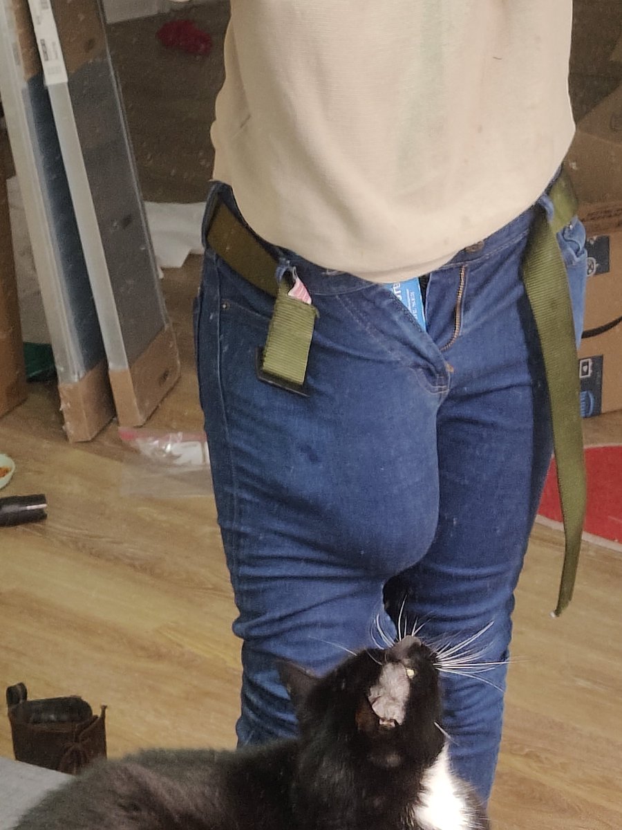 FemboyFit's tweet photo. What're u staring at? https://t.co/Furz5sNuHK