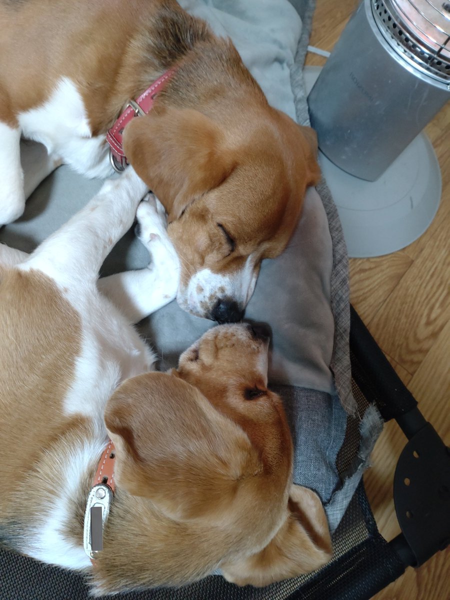 あぁ､､､かわえぇ😭❤️