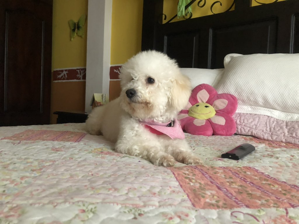 No hay un solo día en qué no la extrañemos mi amor, la amo mucho 😞