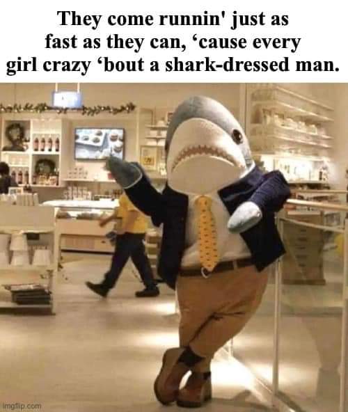 BoilerHam's tweet image. 