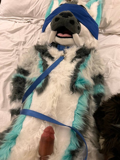 Look at that boner , he is my husband but also my sex slave  He loves how I torture him until I make<a href="/tag/sex"class="tags"><span>#sex</span></a><a href="/tag/furry"class="tags"><span>#furry</span></a><a href="/tag/dick"class="tags"><span>#dick</span></a><a href="/tag/boner"class="tags"><span>#boner</span></a><a href="/tag/murrsuit"class="tags"><span>#murrsuit</span></a>