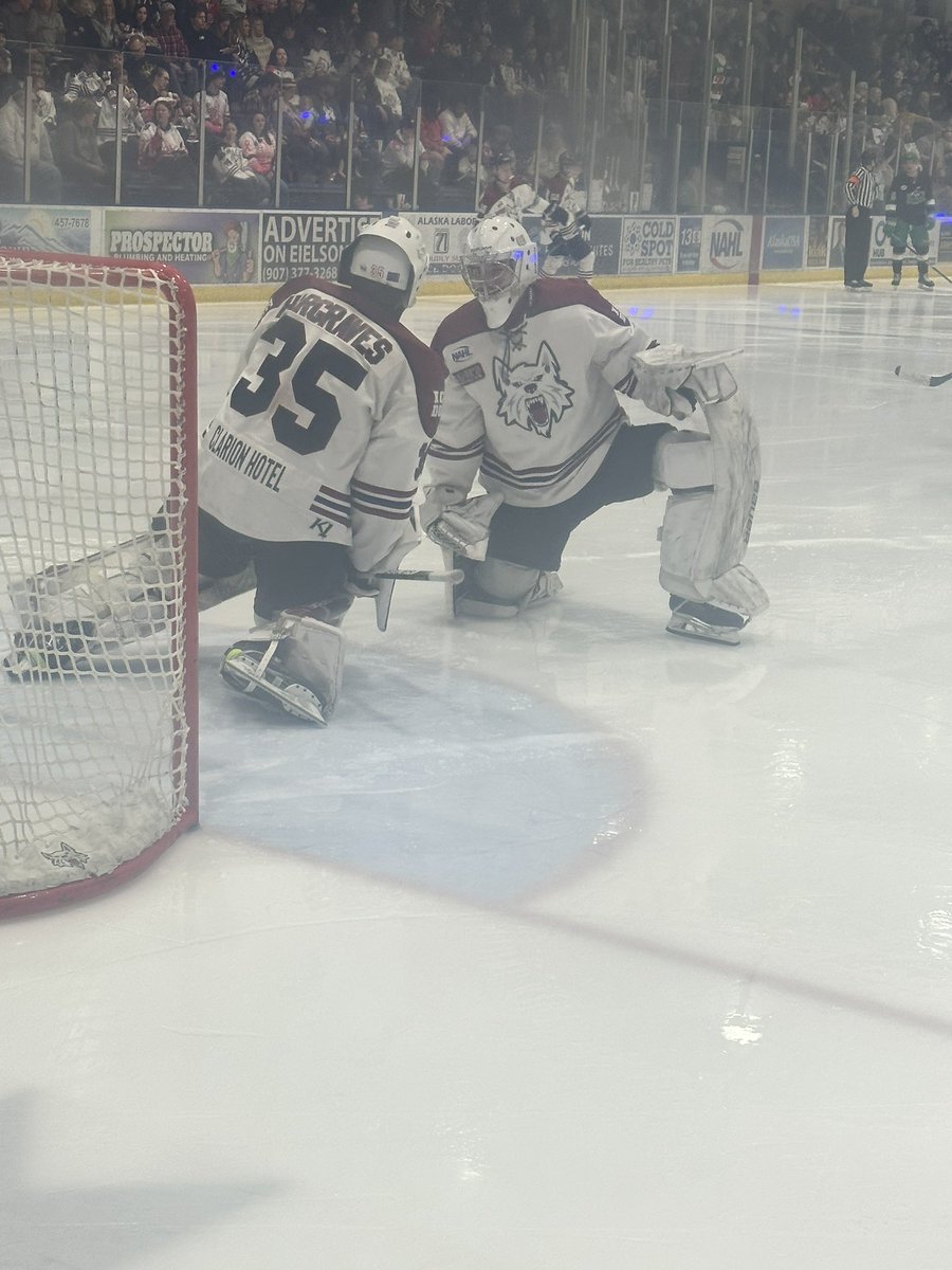 Fairbanks Ice Dogs tweet media