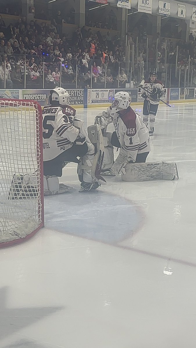 Fairbanks Ice Dogs tweet media