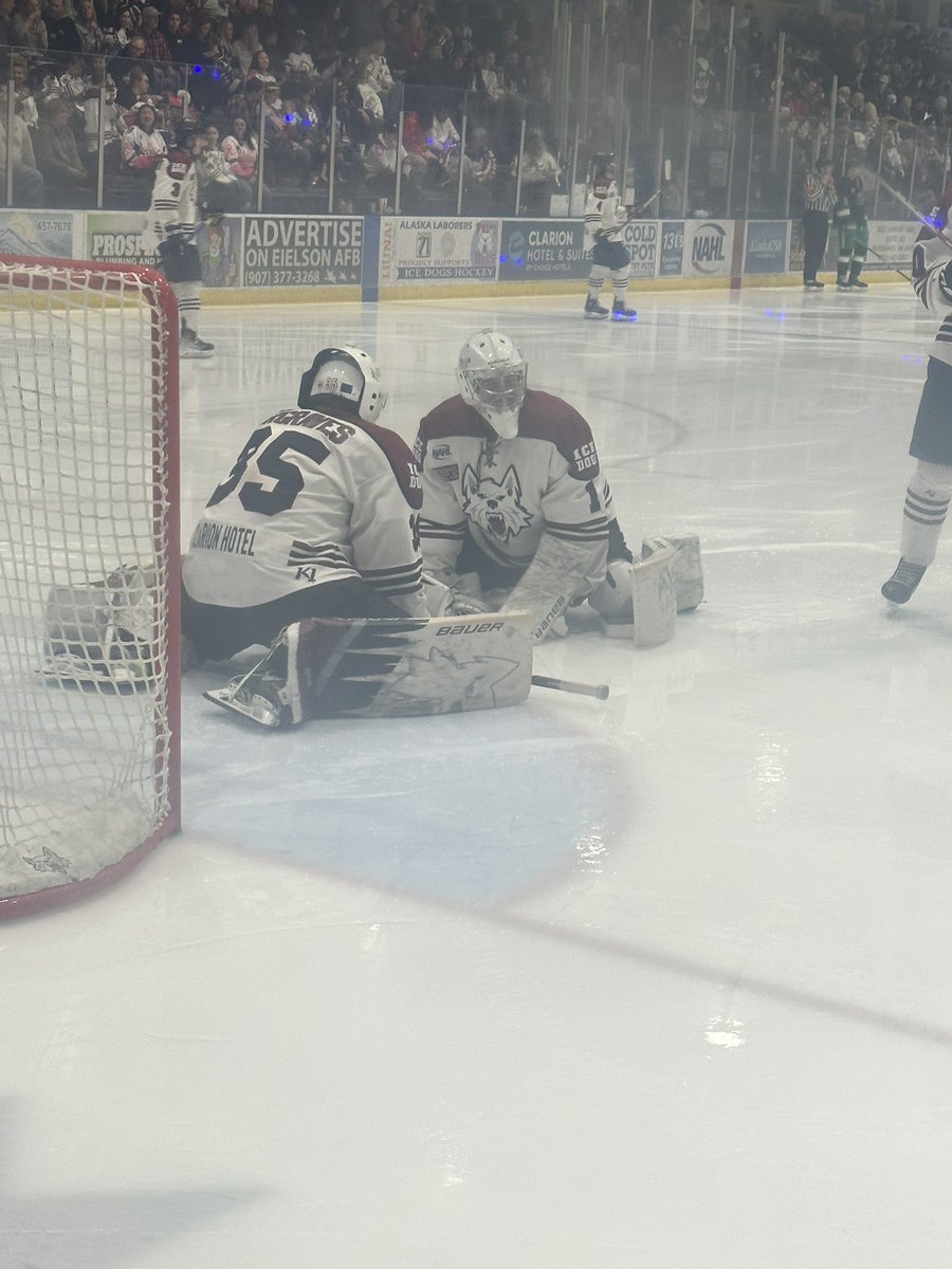 Fairbanks Ice Dogs tweet media