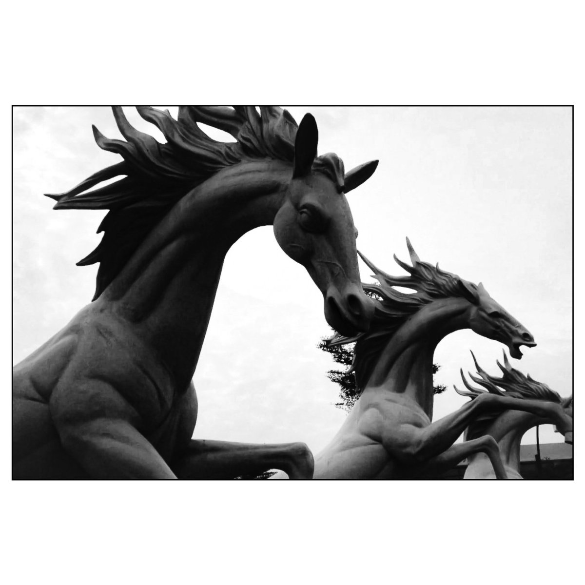 Horse statue icon (Gresik, IDN 2023).
@StreetEvolution @street__hub @StreetPhotoInt 
#bnw_shot #bw_addiction #streethunters #Minimalism #LensCultureStreets #PeraPhotoGallery #bnw_asia #Thestreetphotographyhub #ss_hub