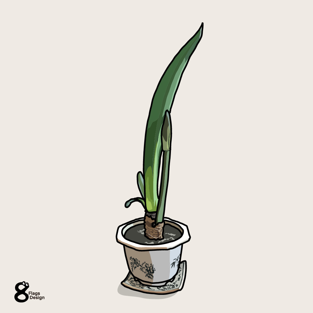 vectorshelf.com/pl166/
アマリリスのツボミ
無料のイラスト素材です
#イラスト
＃無料素材