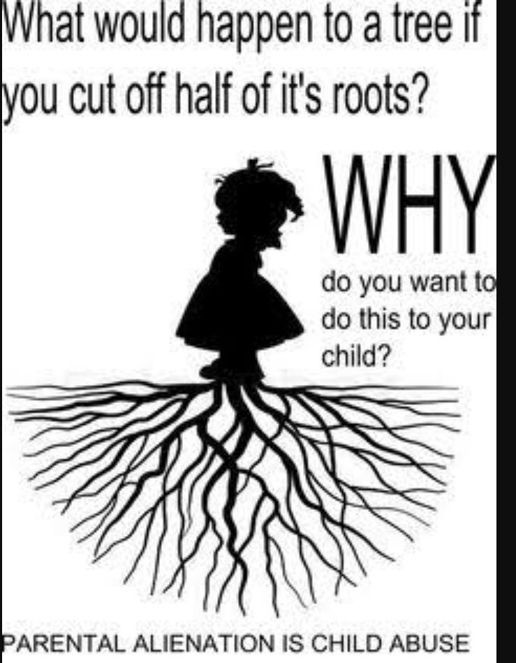 vyomb25's tweet photo. @ShomeBishakha @priyankagandhi @ashrafnansari @Bambootreeorg @HaaraNahi @super_daddy_31 Denying or attempting to deny a #child the joy & memories that come with being with the other parent/grandparent & extended family is unequivocally an #actofevil
#ParentalAlienation is #childabuse & it's nothing short of #sexualabuse
Don't let child experience #ErasedFamily https://t.co/2SKB6z67dY