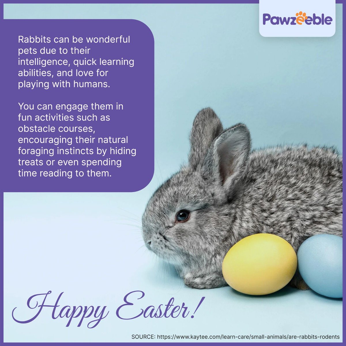 pawzeeble's tweet photo. Happy Easter! We hope you and your furry friends have a wonderful day filled with love, joy, and plenty of treats.

#exoticpets #petownership #animals #wildlife #petlove #petlover #exoticpetcare #petsofinstagram #exoticpetsofinstagram #cute #exotic #animals #animal #easter2023🐰 https://t.co/5IDQPLQ4JX