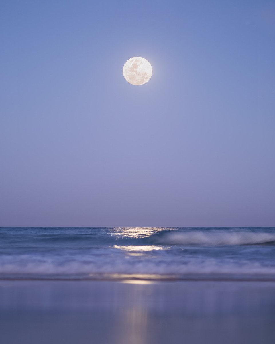 ☽🌑☾

instagram.com/p/Cqp37kPPJz2

#FullMoon #PinkMoon #photography