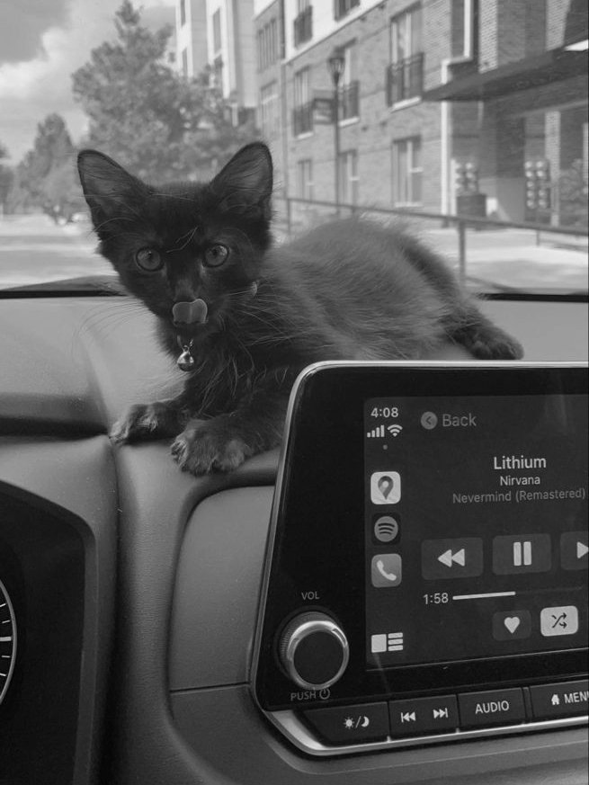 ͏͏͏͏͏͏
͏͏͏͏͏͏                   
 ͏͏͏͏͏͏                 ͏͏͏͏͏͏       
͏͏͏͏͏͏                   
͏͏͏͏͏͏                   
 ͏͏͏͏͏͏     

佐久早 LUKE͏͏͏͏͏͏ ⨾ 四月O9