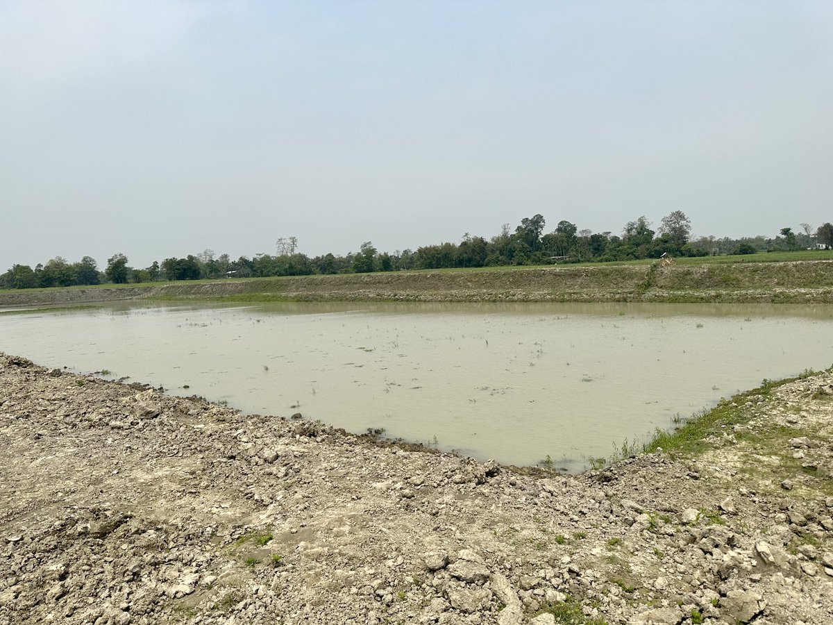 Under Mission #Amritsarovar 75 water bodies in each district are being developed to celebrate #AzadikaAmritMahotsav . Majuli has completed digging 71 ponds so far. Inspected 2 such Sarovar today. ⁦@himantabiswa⁩ ⁦@RanjeetkrDass⁩ ⁦@DcMajuli⁩