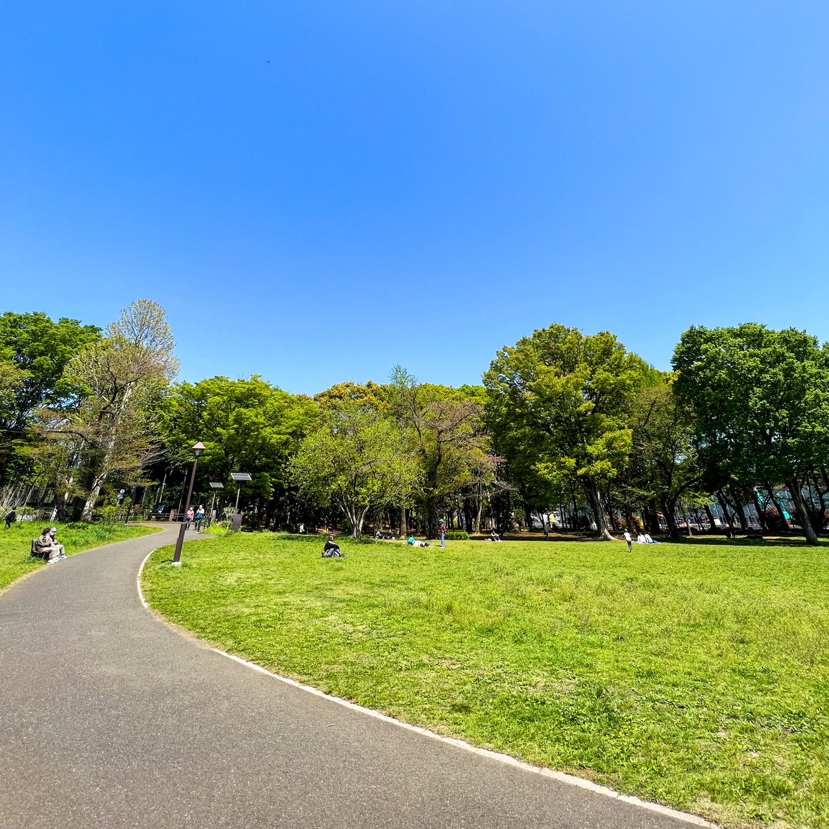 nadesign's tweet photo. 走るデザイナー
暑くもなく寒くもなく、気持ちいい季節です。

It's neither hot nor cold, it's a pleasant season.

Today's #applemusic is #shogohamada 
Ran 10.33 km with the #NRC 
#adidas #adidasrunning #adizero #adizeroadiospro2 #running  #runner #runners  #applewatch #beatsfitpro https://t.co/3IKfH2ji9b