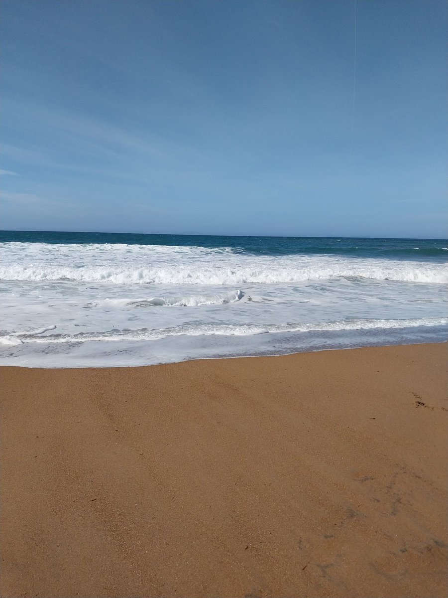 AbotAlexia's tweet photo. Paraíso #playasdoradas https://t.co/0c8LbnrO4N