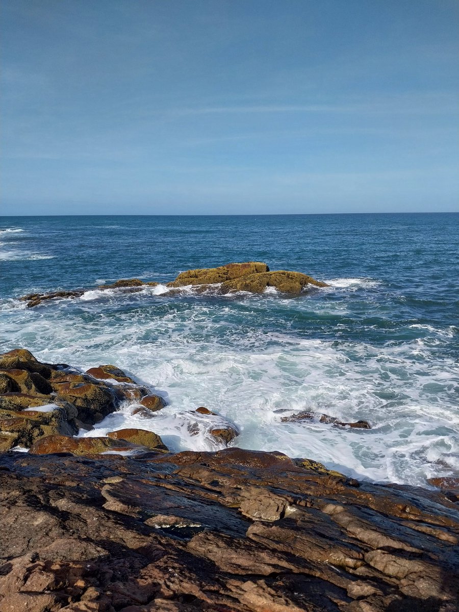 AbotAlexia's tweet photo. Paraíso #playasdoradas https://t.co/0c8LbnrO4N